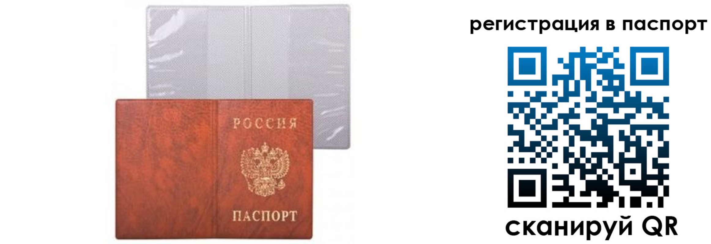 прописка ребенка в Зеленогорске